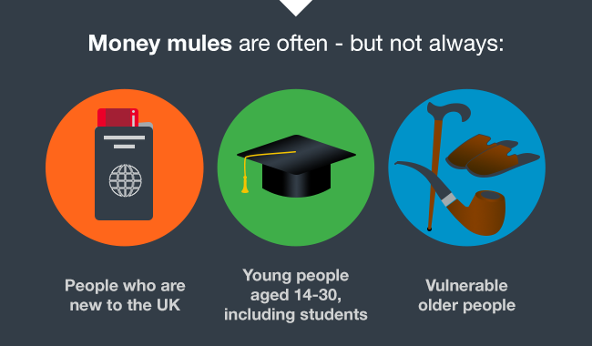 Infographic - What Is A Money Mule?