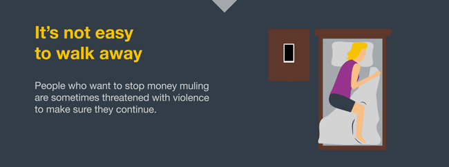 Infographic - What Is A Money Mule?