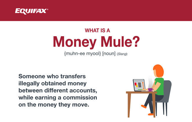 Infographic - What Is A Money Mule?