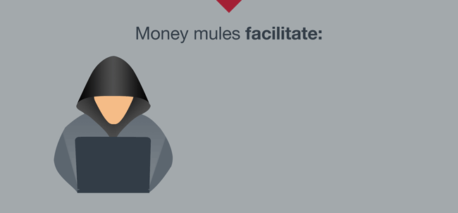 Infographic - What Is A Money Mule?